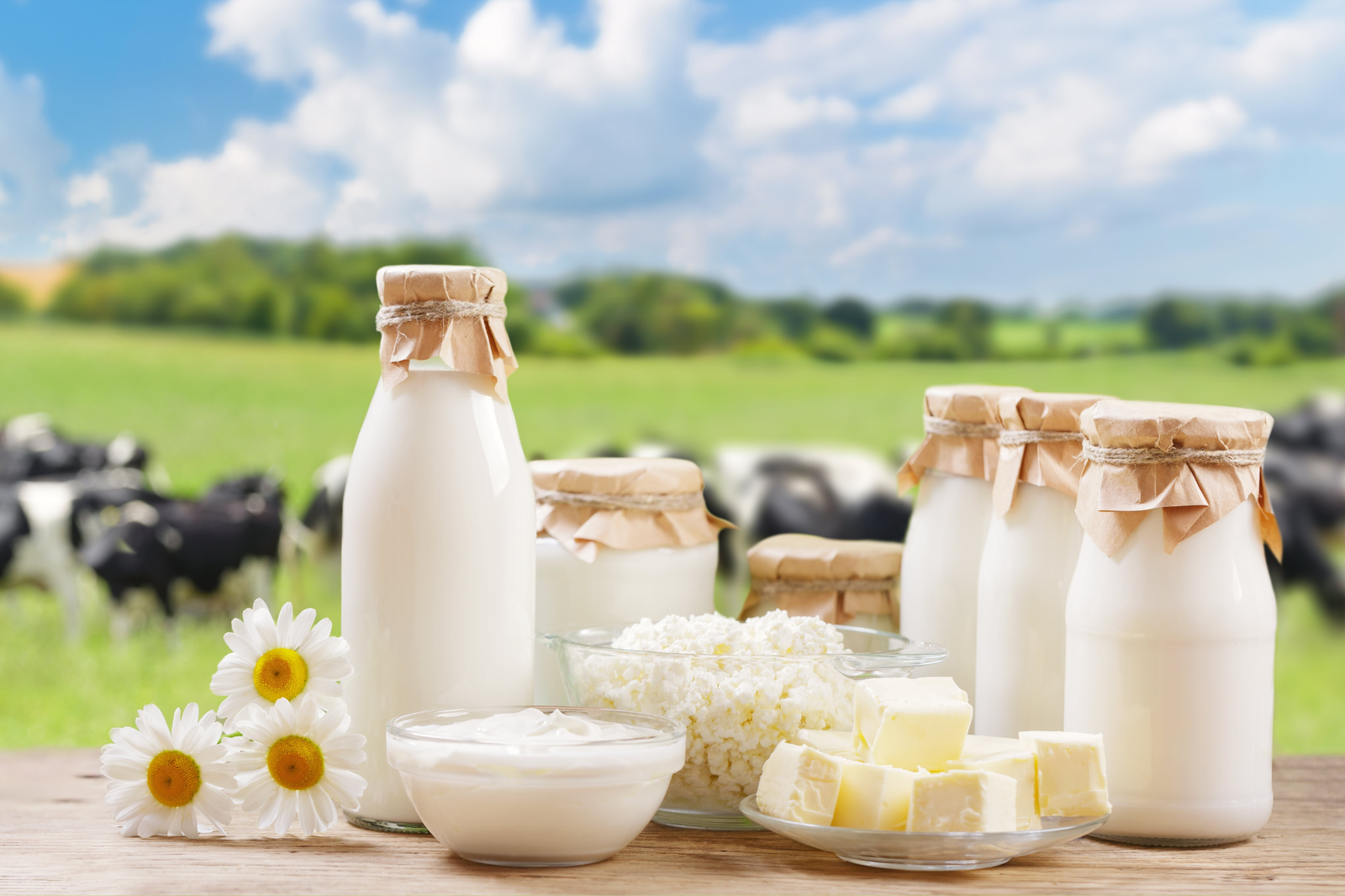 Untitled design (93)